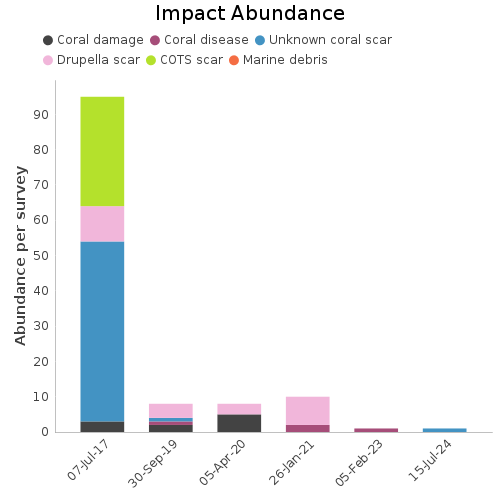 Impact Abundance