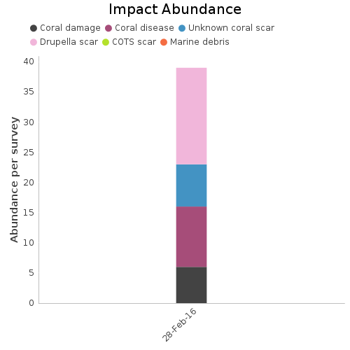 Impact Abundance