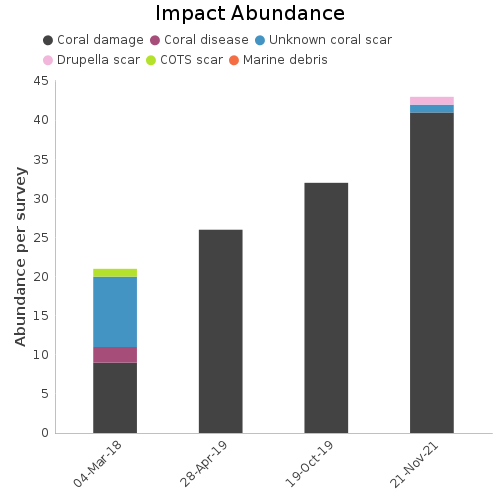 Impact Abundance