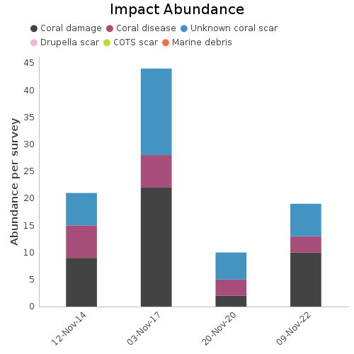 Impact Abundance