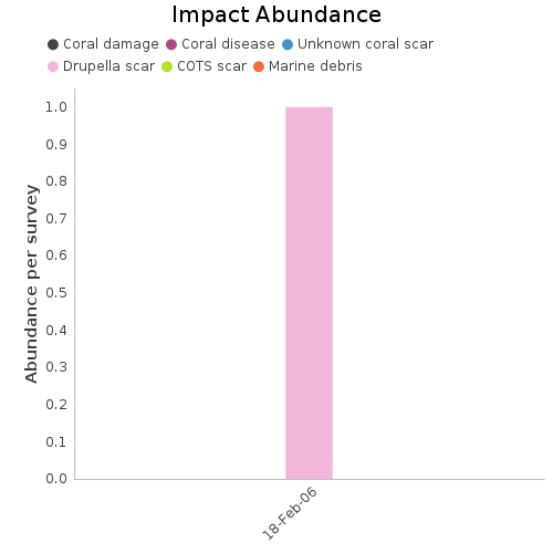 Impact Abundance