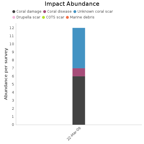 Impact Abundance