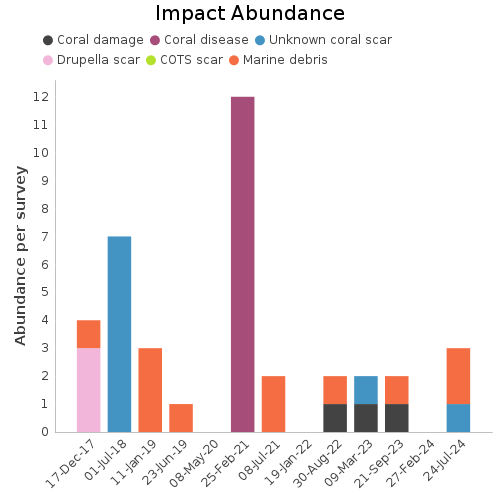 Impact Abundance