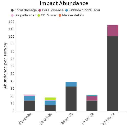 Impact Abundance