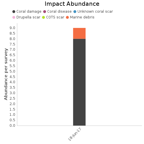 Impact Abundance