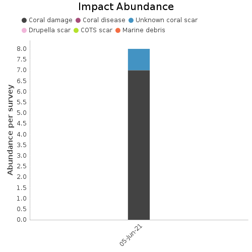 Impact Abundance