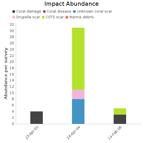 Impact Abundance