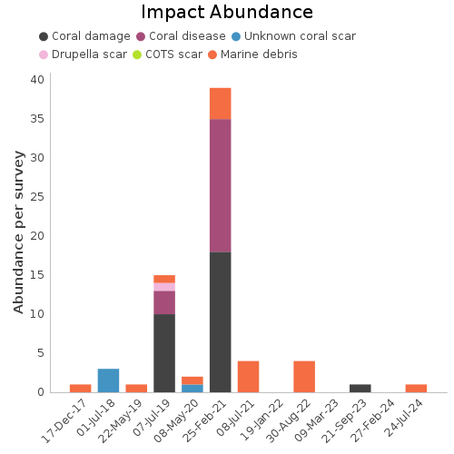 Impact Abundance