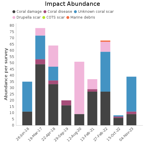 Impact Abundance