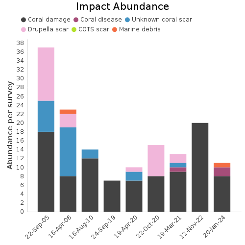 Impact Abundance