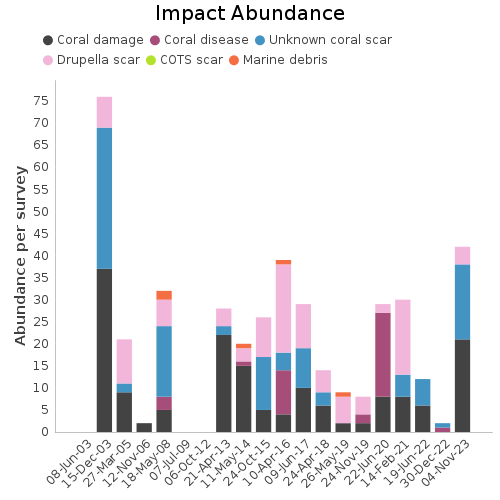 Impact Abundance