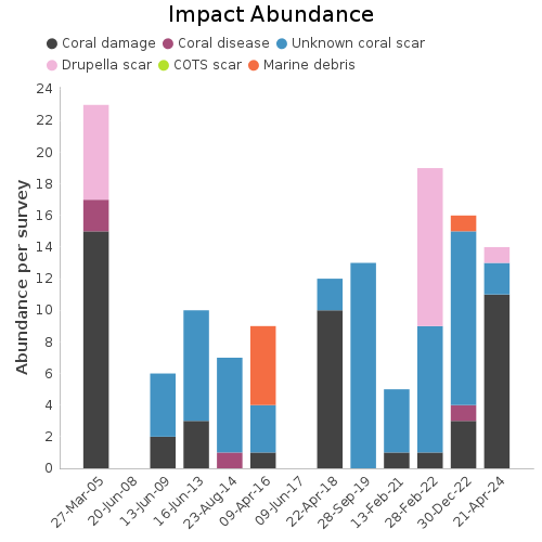 Impact Abundance