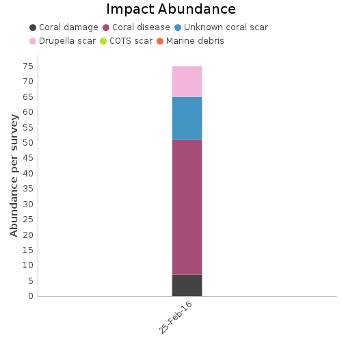 Impact Abundance