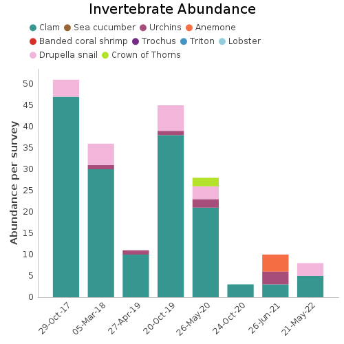 Invertebrate Abundance