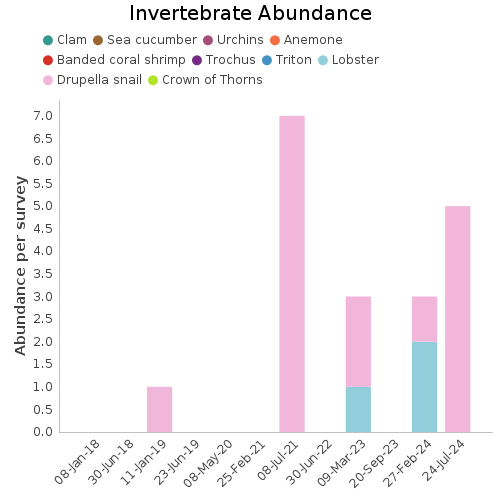 Invertebrate Abundance