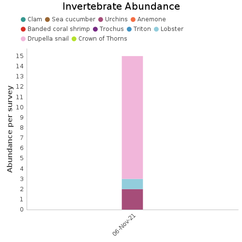 Invertebrate Abundance