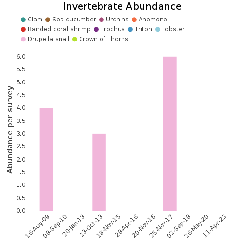 Invertebrate Abundance