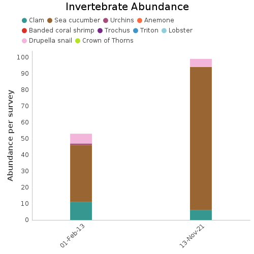 Invertebrate Abundance