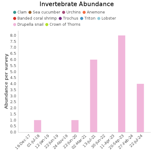 Invertebrate Abundance