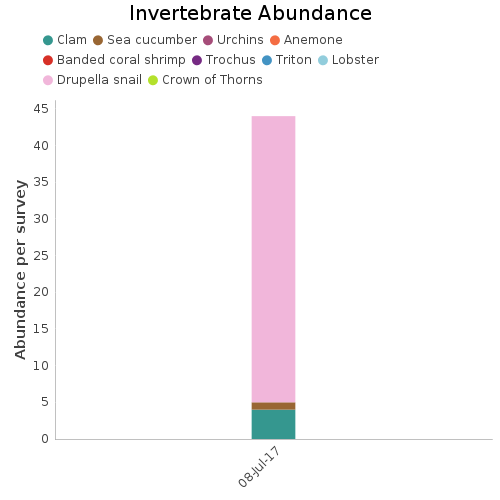 Invertebrate Abundance