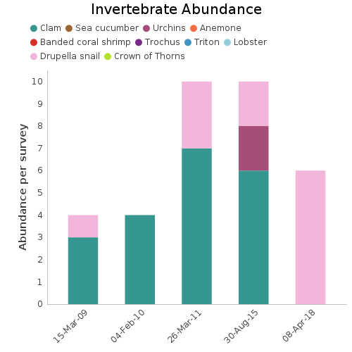 Invertebrate Abundance