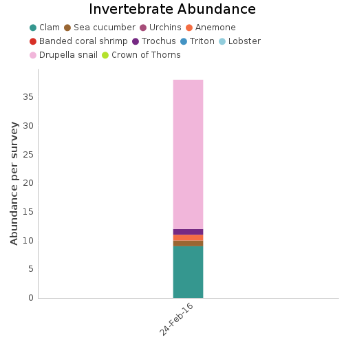 Invertebrate Abundance