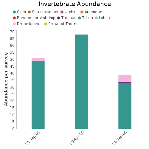 Invertebrate Abundance