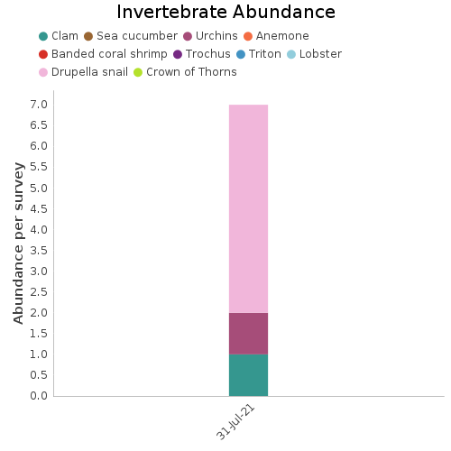 Invertebrate Abundance