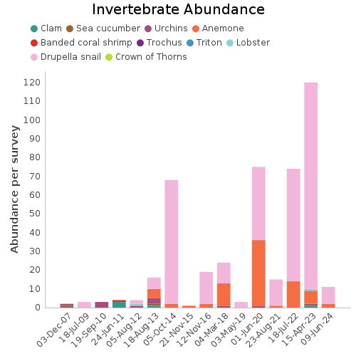 Invertebrate Abundance