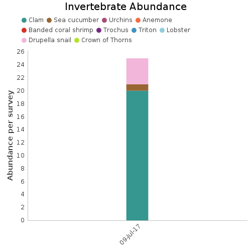 Invertebrate Abundance