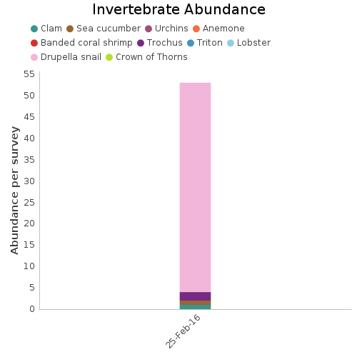 Invertebrate Abundance