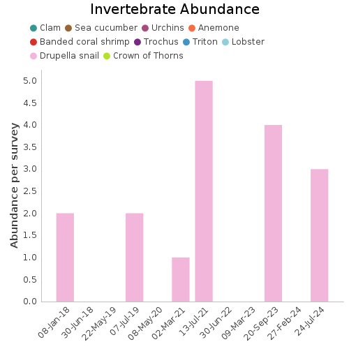 Invertebrate Abundance