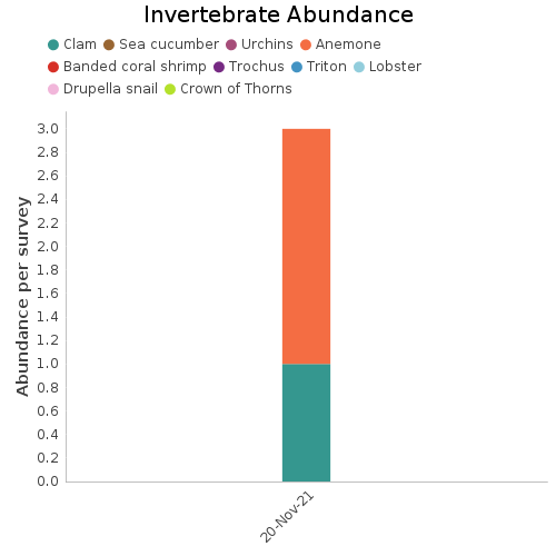 Invertebrate Abundance