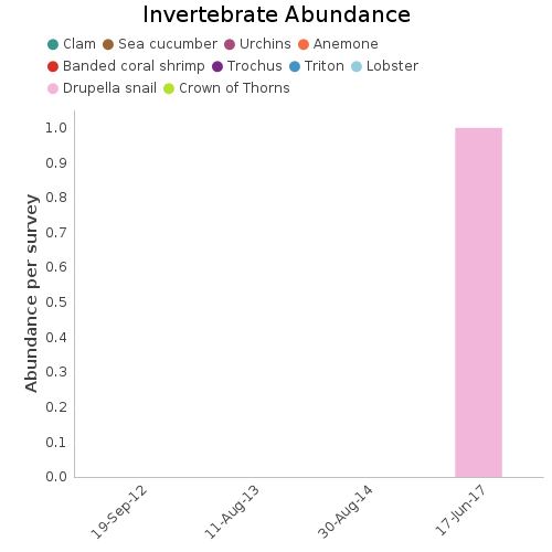 Invertebrate Abundance