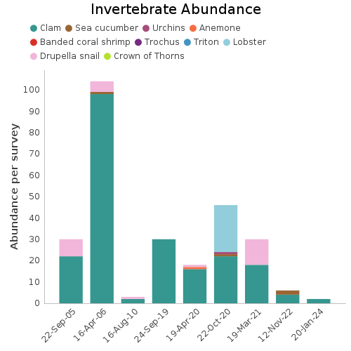 Invertebrate Abundance