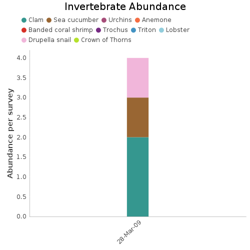 Invertebrate Abundance