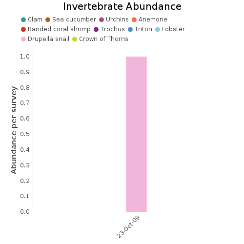 Invertebrate Abundance