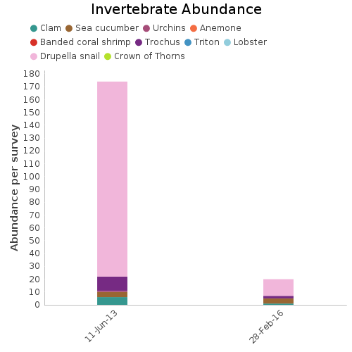 Invertebrate Abundance