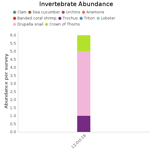 Invertebrate Abundance