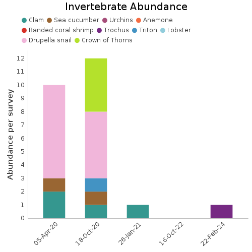 Invertebrate Abundance