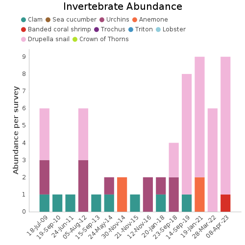 Invertebrate Abundance