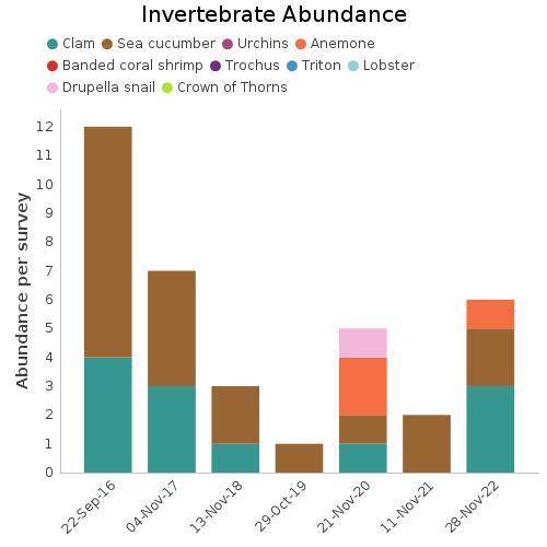 Invertebrate Abundance