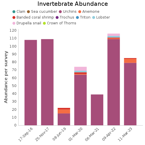 Invertebrate Abundance