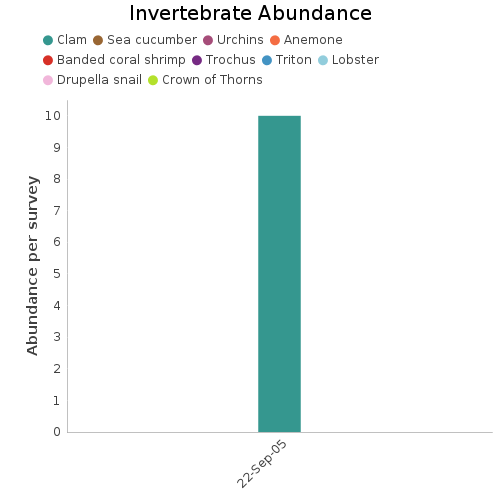 Invertebrate Abundance