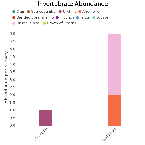 Invertebrate Abundance