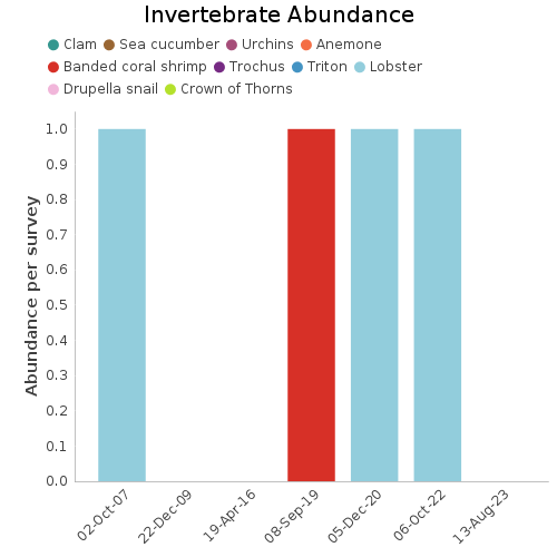 Invertebrate Abundance