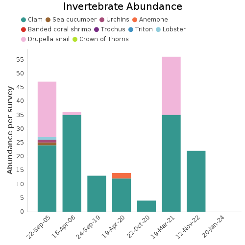 Invertebrate Abundance