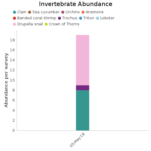 Invertebrate Abundance