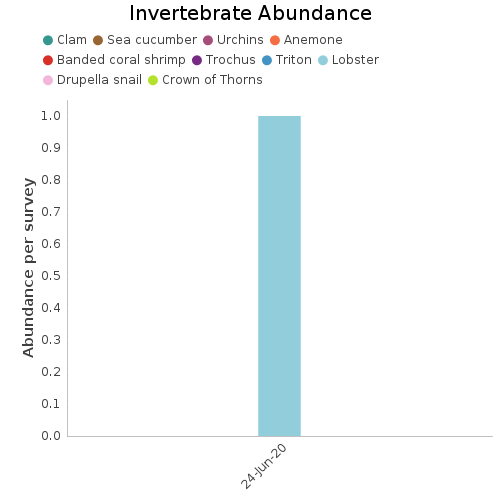 Invertebrate Abundance