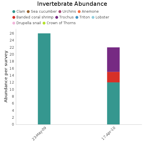 Invertebrate Abundance